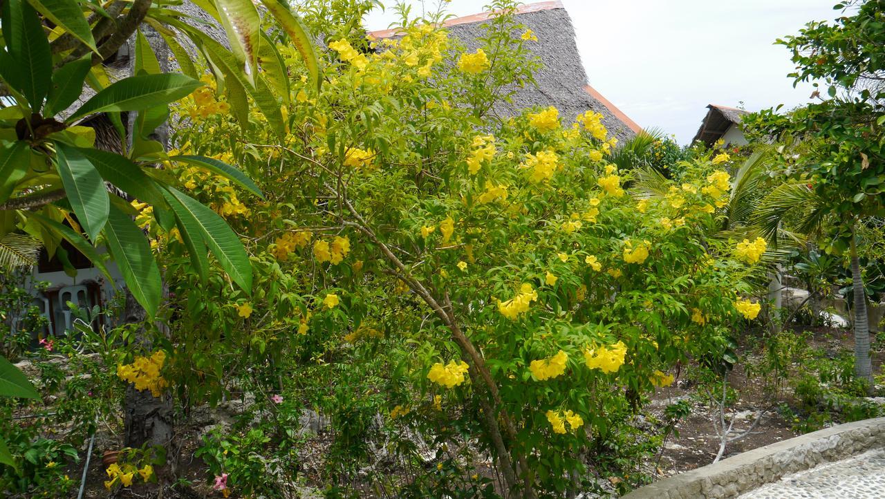Moalboal T Breeze Coastal Resort Buitenkant foto